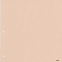604 Roller blinds / apricot