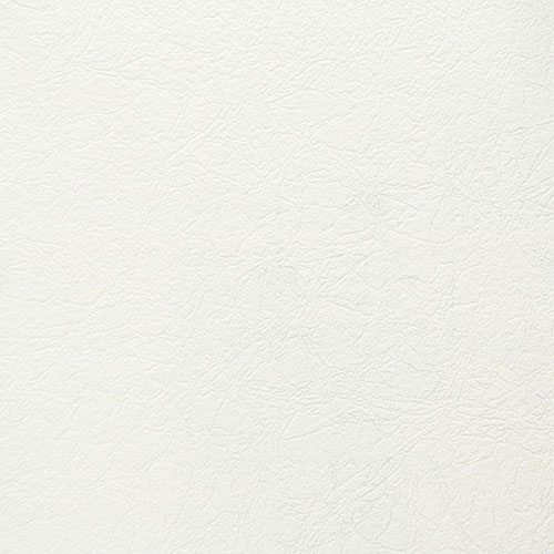 9855 Wallpaper