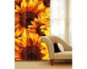 CU-013 Sunflower