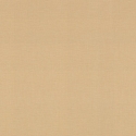 531367 Wallpaper