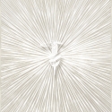 Z30356 Raggi Levriero Digital Decorative Panels