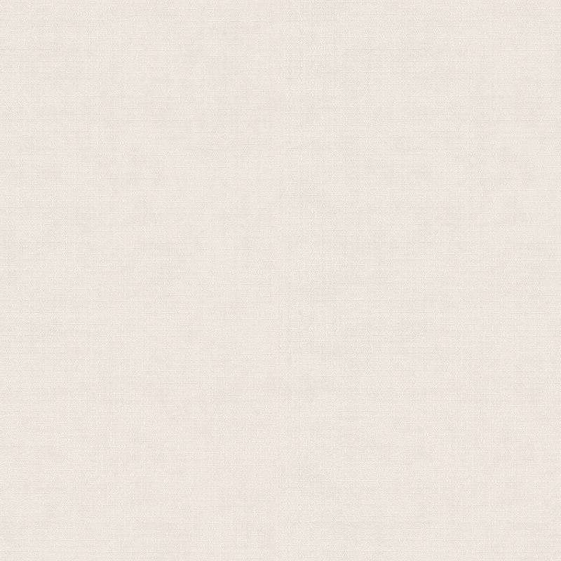 Z54511 Wallpaper