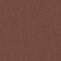 Z54527 Wallpaper