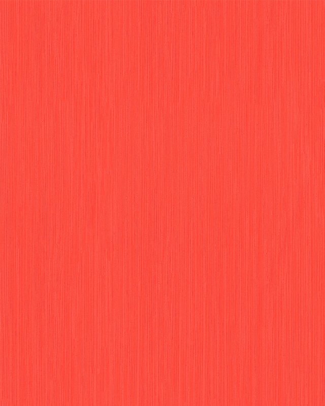 53834 Wallpaper