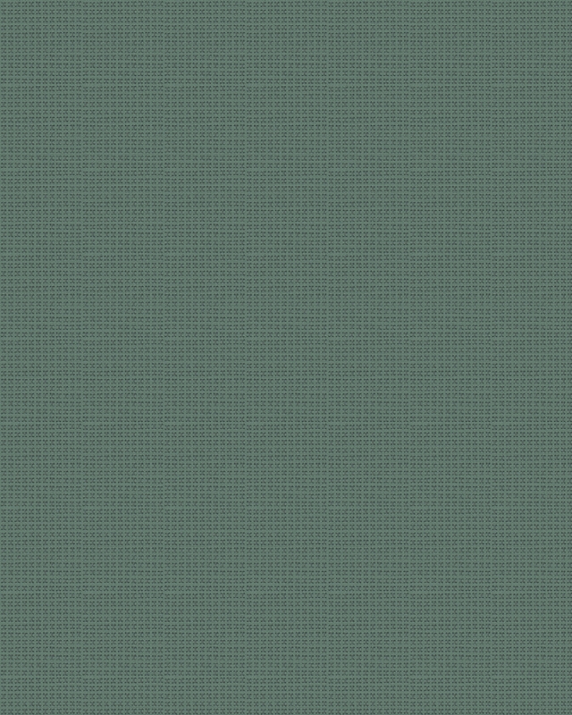 30848 Oбои