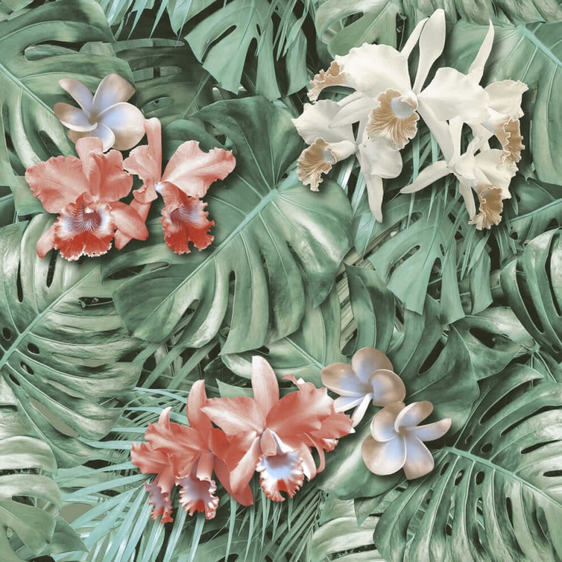 Экзотика 12476 Обои